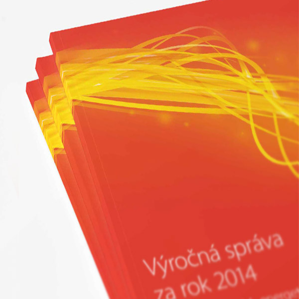 ZSE Annual Report 2014
